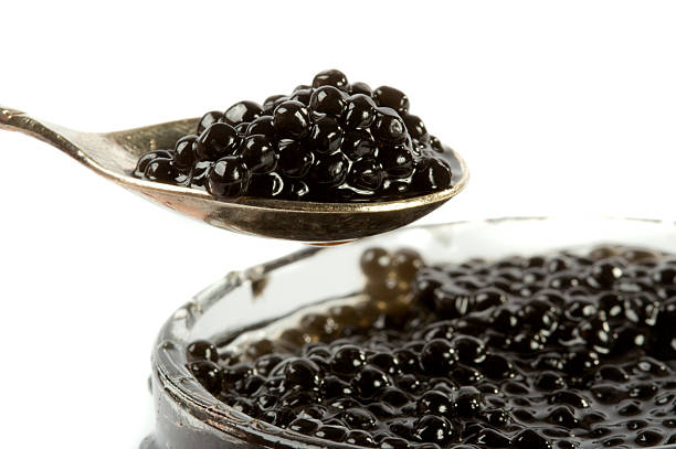 BELUGA HAVYARI (100 GR)